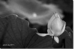 IMG_3969