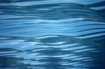 SwissWater