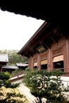 CRW_6335