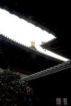 CRW_6347