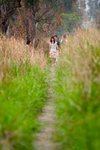 CRW_1341