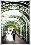 1005 Connie & Jay 0617_1024px