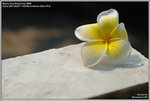 DSC_9255_640