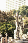 f80_reala100_nsw_016