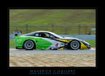 Corvette C5R (5)