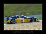 Corvette C6R (7)