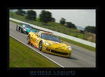 Corvette C6R (8)