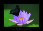 DSC_5875ps