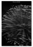 IMG_3961bwb