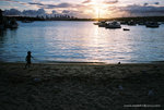beautiful sydney sunset