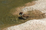 June 2006