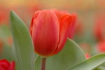 March 2006