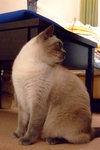 DSCF2302
