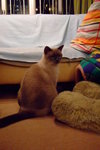 DSCF2316