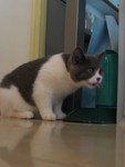 IMG_0040