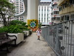 pok ho 028