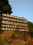 DSCN0005