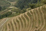 image0005