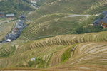 image0006