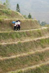 image0007