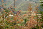 image0008