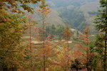 image0009