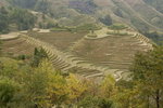 image0010