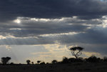 image0001