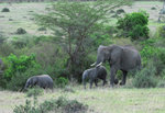 image0002