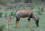 image0005