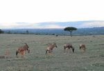 image0007