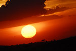image0016
