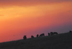 image0017