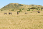 image0018