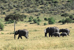 image0019