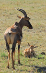 image0022