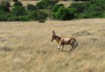 image0024