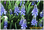 RVP_005_00147
