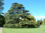 <font color="gold">#12 </font><BR>Adelaide Botanic Garden