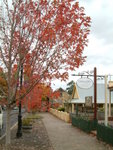 <font color="gold">#35</font><BR>Hahndorf