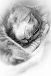 IMG_8616re