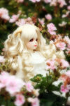 IMG_0227re