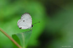 DSC_5950G2