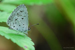 DSC_2450G1