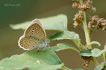 DSC_7712g1