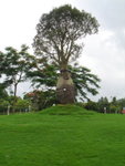 DSC03483