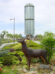 DSC02600