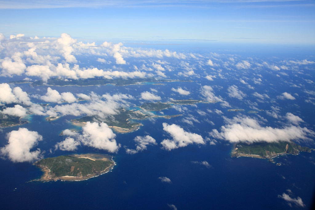 美国海鲜面入境_台湾入境卡_奶油海鲜培根意面