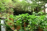 IMG_2144_5