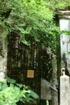 IMG_2148_7